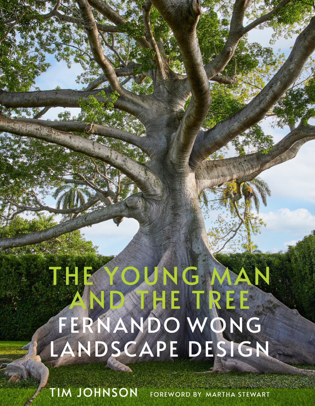 young man and the tree book 